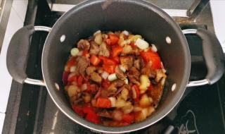 番茄牛腩煲的做法萝卜牛腩的做法